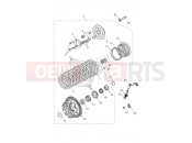 TRIUMPH TIGER 900 Alpine Clutch