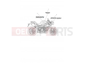 TRIUMPH SPEED TRIPLE S 735438 > Decals & Badges