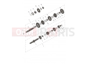 Transmission - Triumph TF250-C 2026