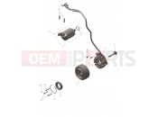 Alternator & Starter Motor - Triumph TF250-E 2025