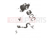 Throttle Bodies - Triumph TF250-E 2026
