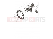 Rear Caliper & Discs - Triumph TF250-E 2026