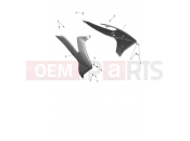 Side Panels - Triumph TF250-E 2026