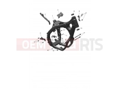 Main Frame Assembly - Triumph TF250-X CS6090 > 2023