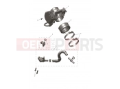 Throttle Bodies - Triumph TF250-X CS6090 > 2024