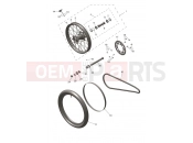 Rear Wheel - Triumph TF250-X CS6090 > 2024