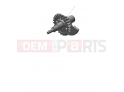 Balancer - Triumph TF250-X CS6090 > 2025