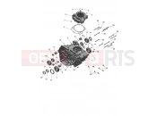 Crankcase - Triumph TF250-X CS6090 > 2025