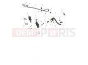 Rear Master Cylinder - Triumph TF250-X CS6090 > 2025