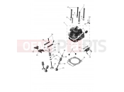 Cylinder Head & Valves - Triumph TF450-RC Edition 2026