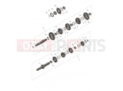 Transmission - Triumph TF450-RC Edition 2026