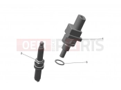 Engine Management System - Triumph TF250-E 2025