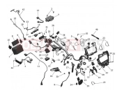 Electrical System - Triumph TF250-E 2025