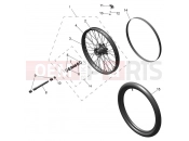 Front Wheel - Triumph TF250-C 2025