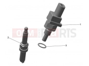 Engine Management System - Triumph TF250-X CS6090 > 2024