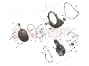 TRIUMPH TF250-X CS6090 > Engine Covers