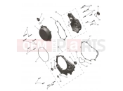 Engine Covers - Triumph TF450-C 2025