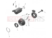 Alternator & Starter Motor - Triumph TF450-E 2026